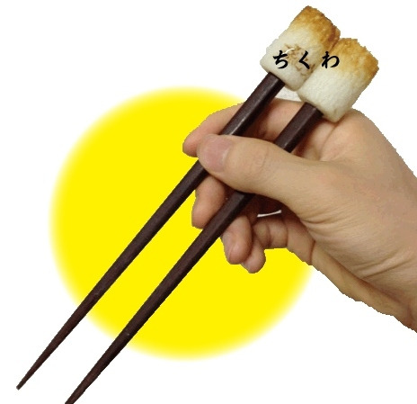 お箸を正しい持ち方に矯正する方法 裏ワザあり 人生万事サイオウがうま